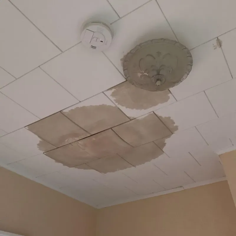 Ceiling Water Damage Repair in Warsaw, NC
