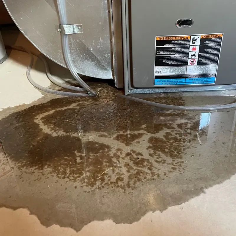 Pipe Burst and Leak Restoration in Warsaw, NC