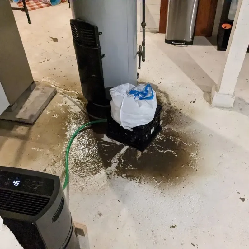 Sewage Backup Cleanup Service in Warsaw, NC